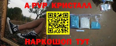 прущие грибы Кунгур