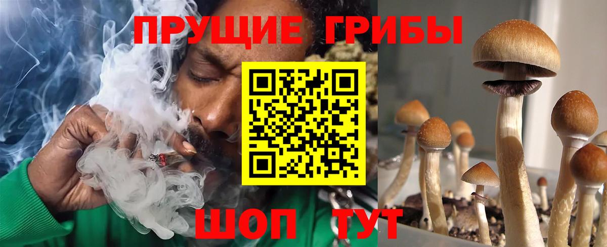 Псилоцибиновые грибы мухоморы Кимовск