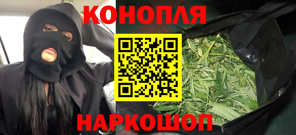 Кимовск  Бошки Шишки план  Канабис семена  Шишки марихуана Ganja  Вход с VPN  МАРИХУАНА SATIVA & INDICA 
